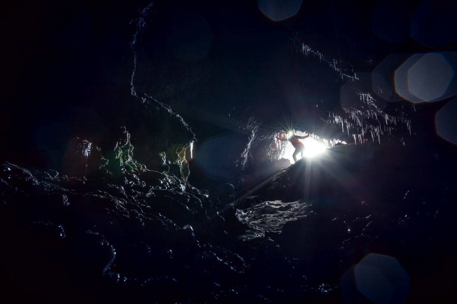 Камчатка, Алексей Мараховец