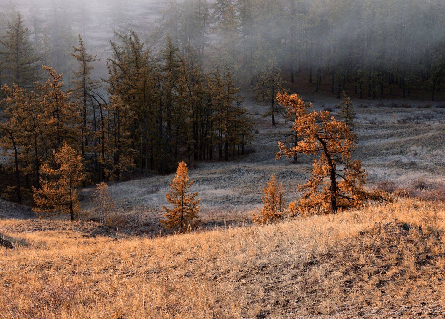 #россия #башкирия #урал #гора #калкан-тау, Максим Ватрушкин