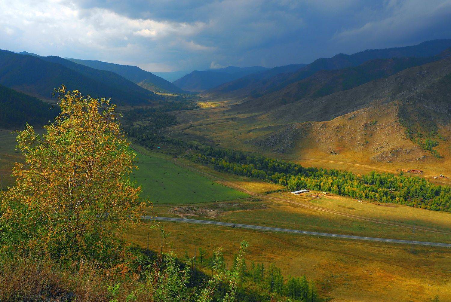 , Андрей Перешеин