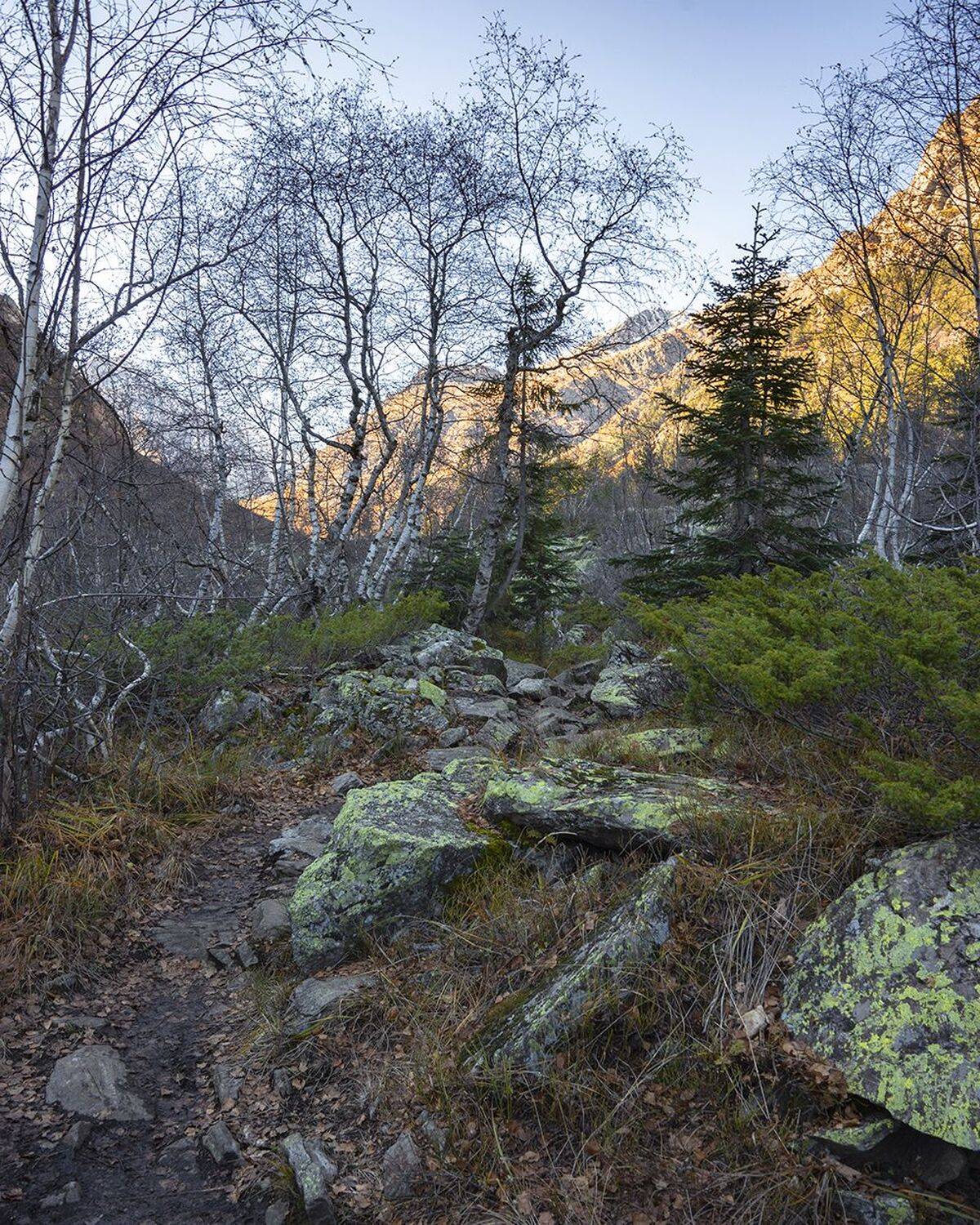 , Петр Косых