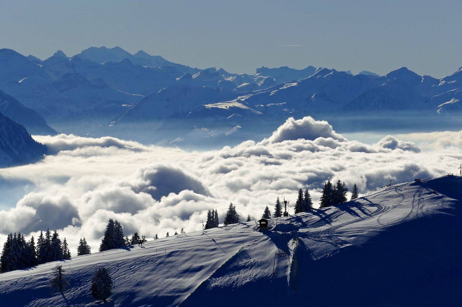 Landscapes, nature, mountain, clouds, snow, winter, view, Rigi National Park, trees, light, shadow, mood, cold, , Svetlana Povarova Ree