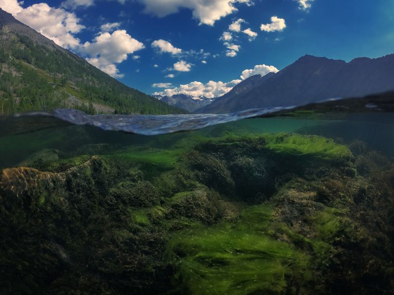 Алтай фото превью