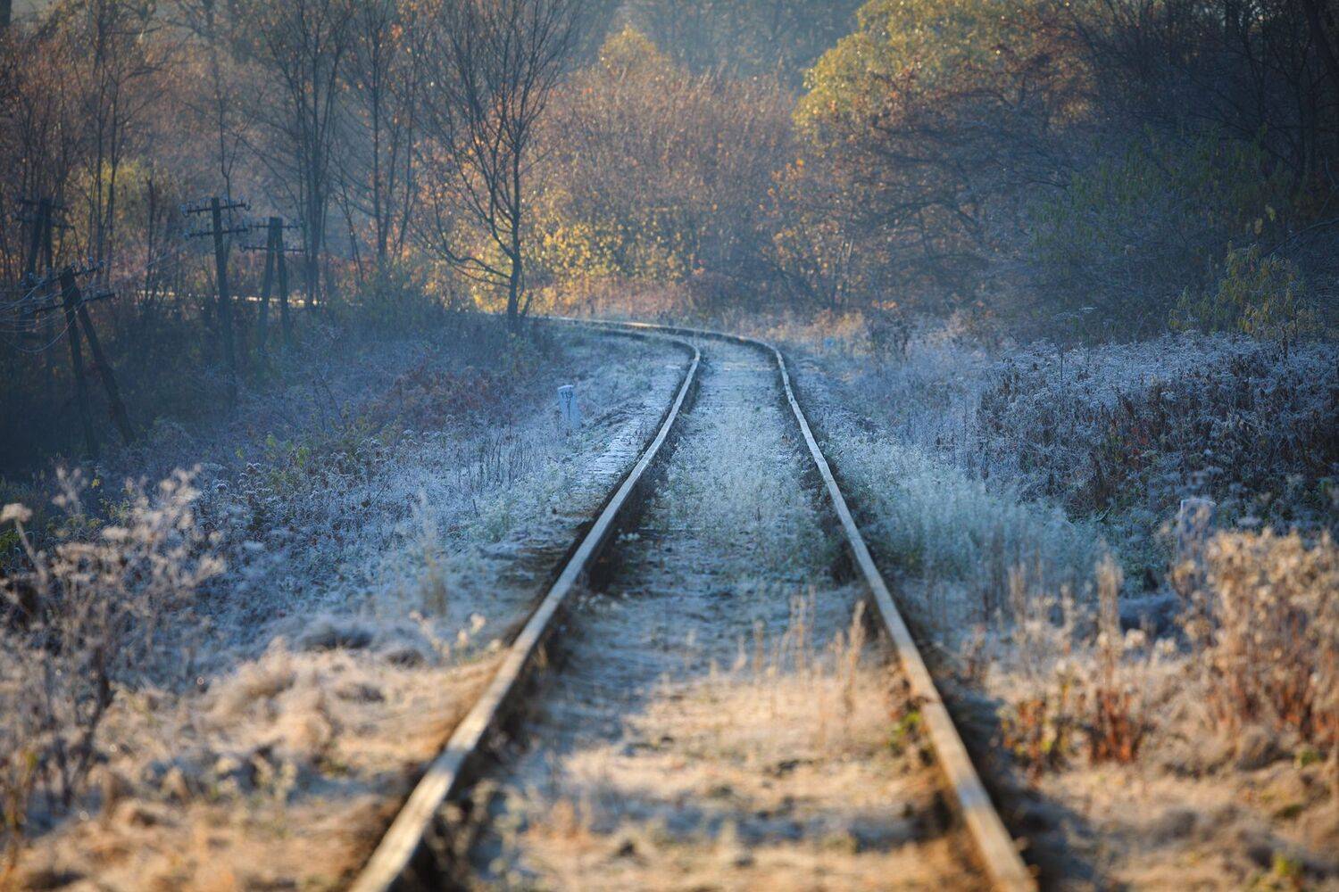 ,  Mirosław Pruchnicki