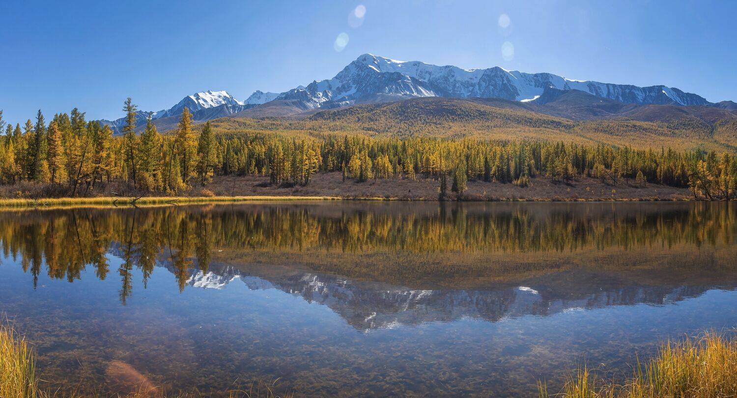 , Юрий Грамаков