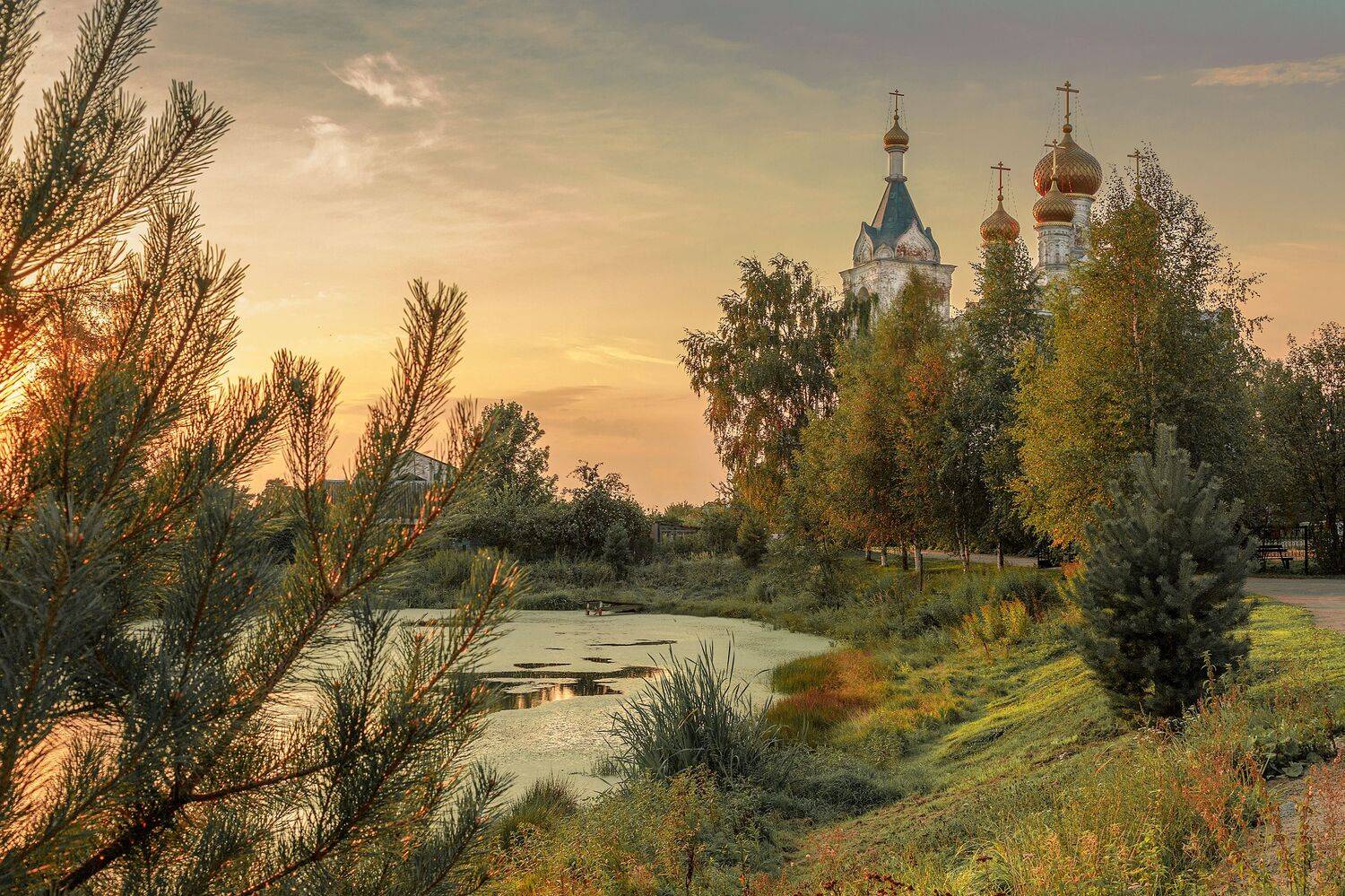 Дмитровский район, Елена Гусева