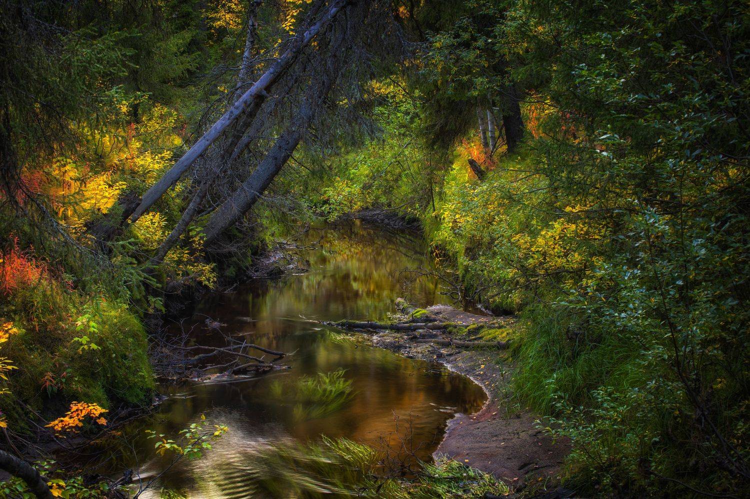 осень пейзаж север, Василий Чобот