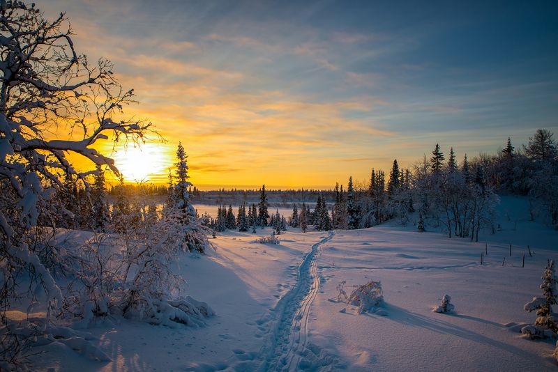 пейзаж север зима мороз закат Лесная сказка фото превью