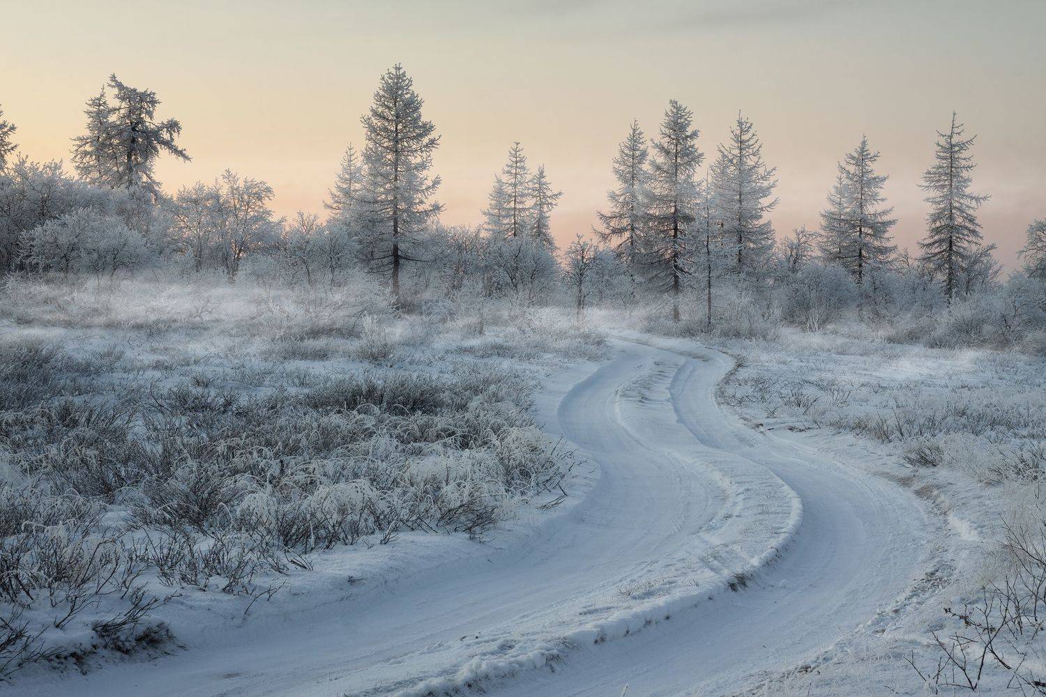 , Василий Чобот