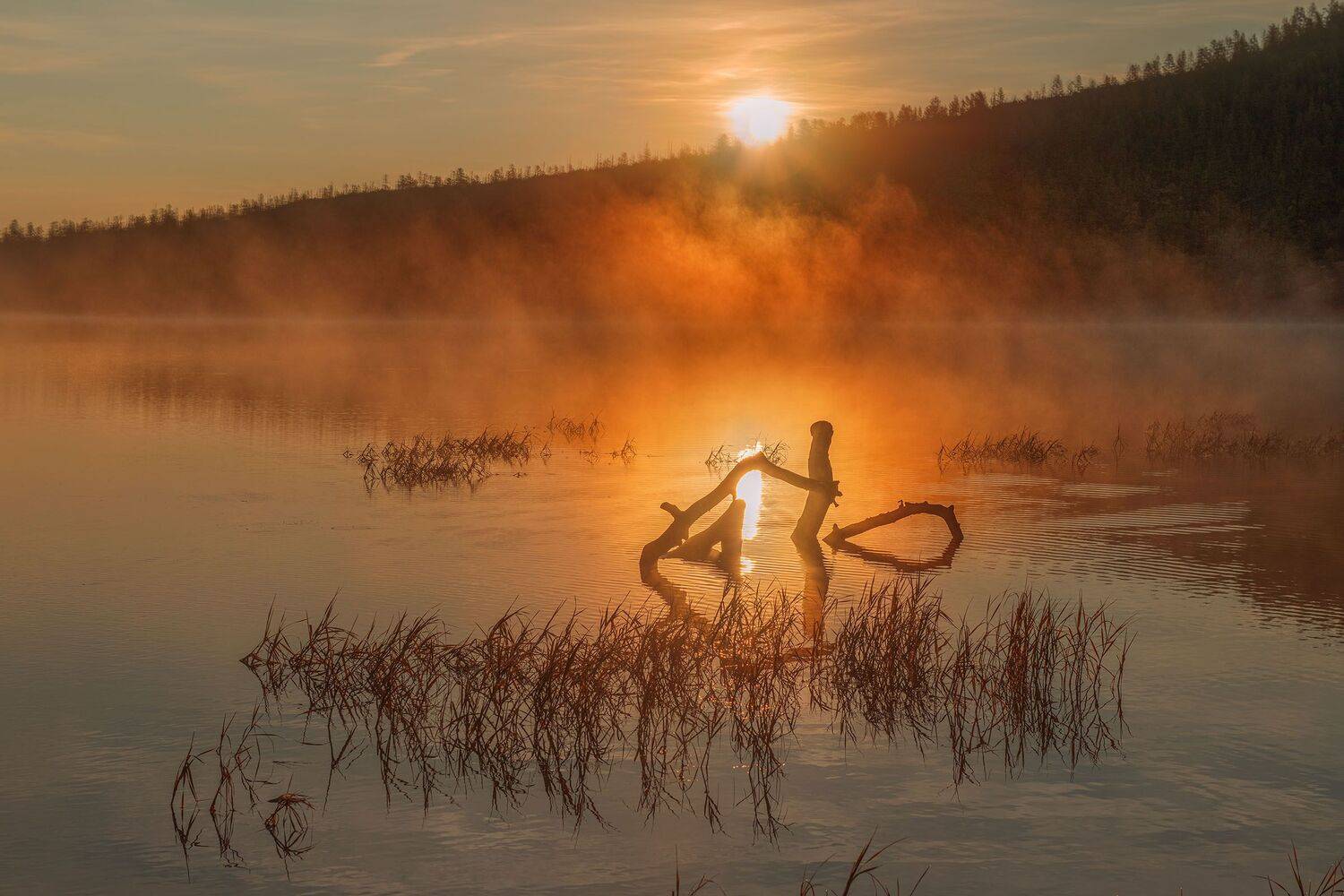 Фототуры с Владимиром Рябковым, #озероджекалондона #колыма #loves_russia #nikonrussia #landscape_russia #ru_landscape  #русскийсевер #landscapephotography #photoarena_nature #Russiannature #большаястрана #russpasibo #topnature #lovelyRussia #природаРоссии, Владимир Рябков