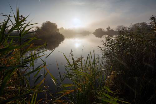 Осенний день