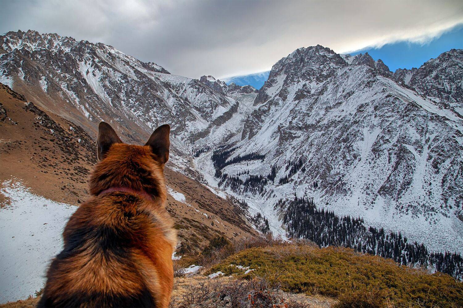 кыргызстан, горы, ала-арча, Элина Магалимова