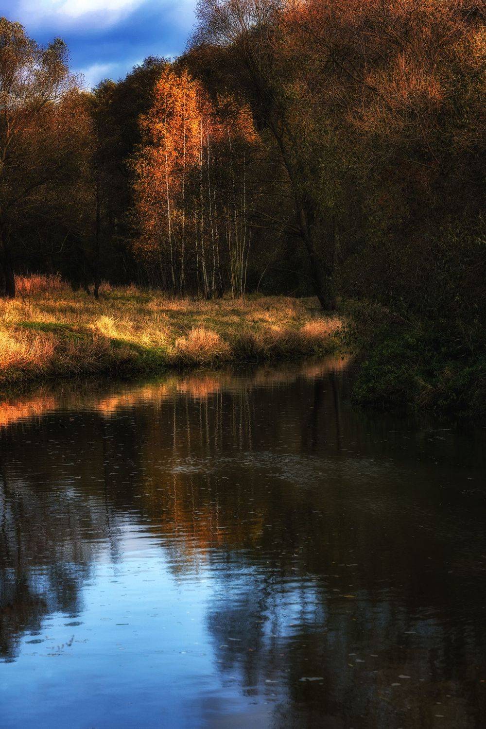 осень, река, свет, Владимир Штыриков