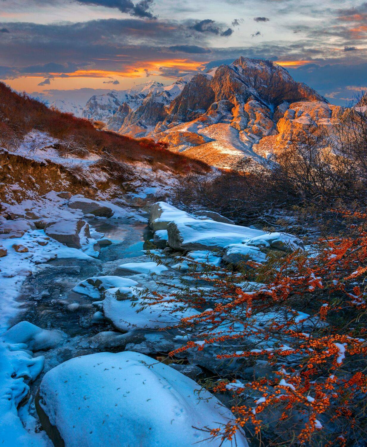 облепиха,закат,ноябрь,кбр, речка, природа,пейзаж, Елена Брежицкая