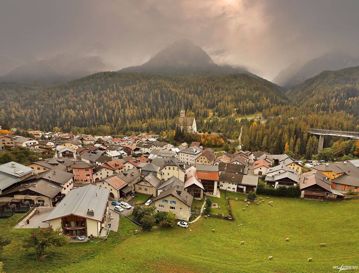 swiss, Матвеев Николай