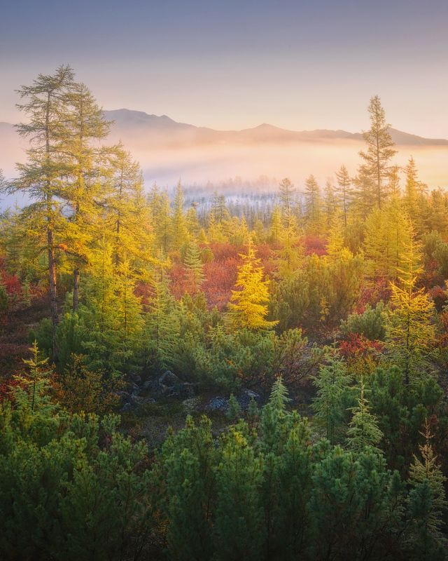 осень, колыма, озеро джека лондона Стоозерка под пологом тумана фото превью