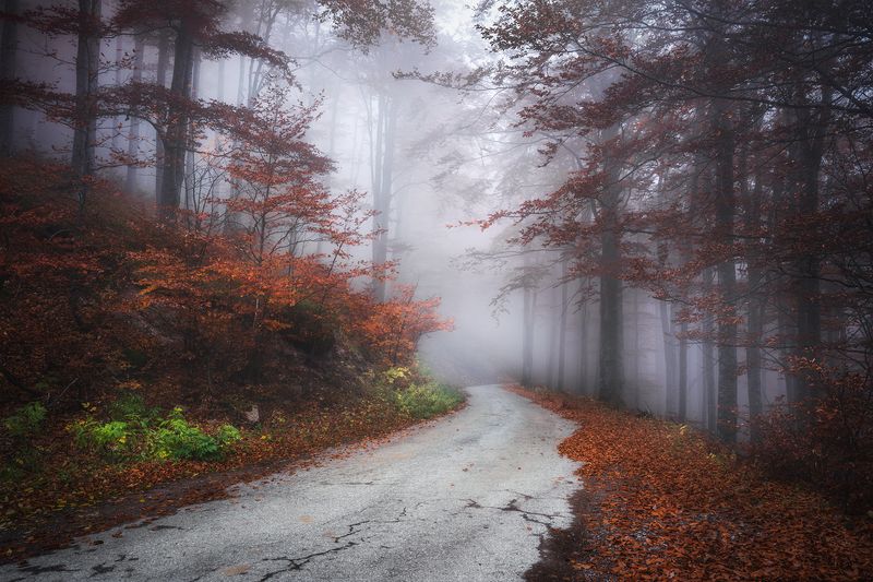 Autumn in the mountain