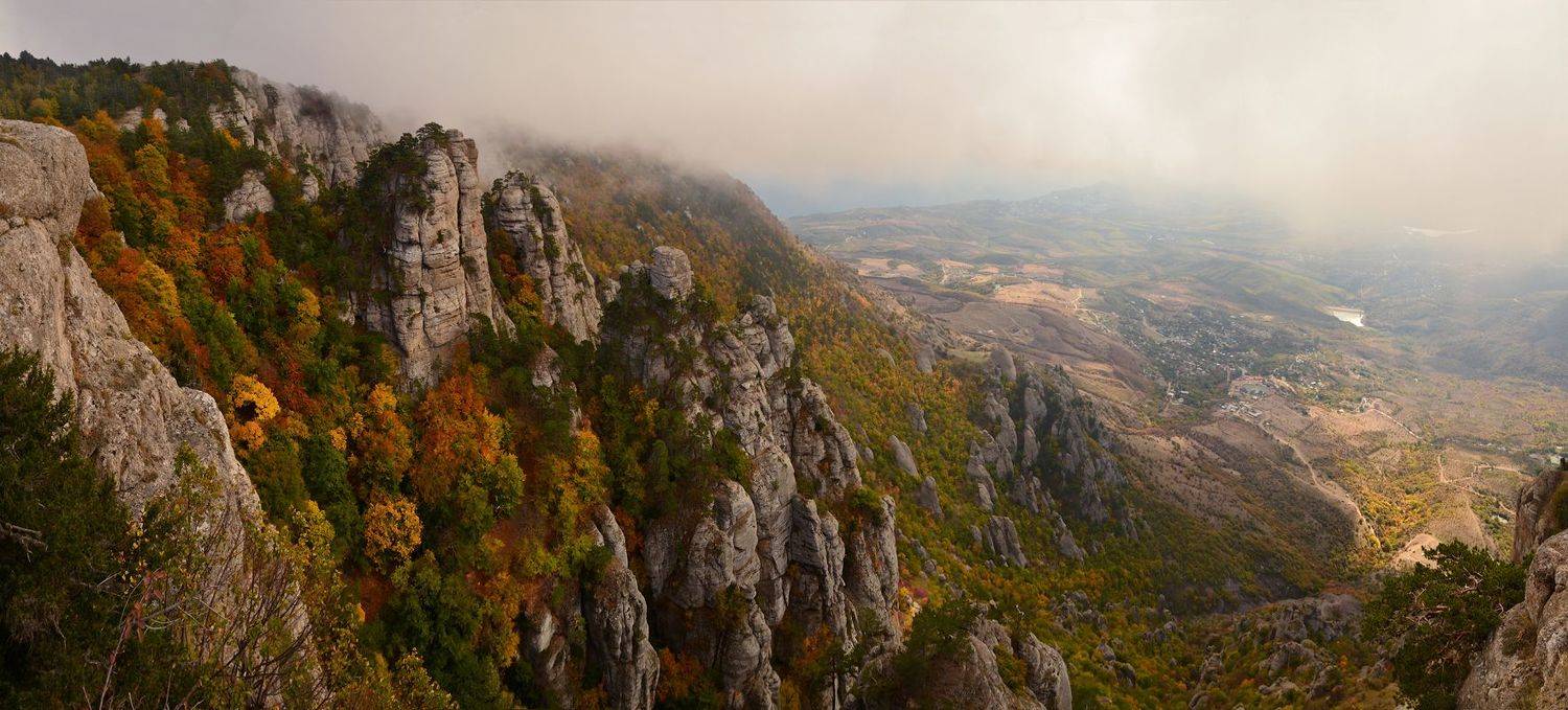 , Владимир Метцгер