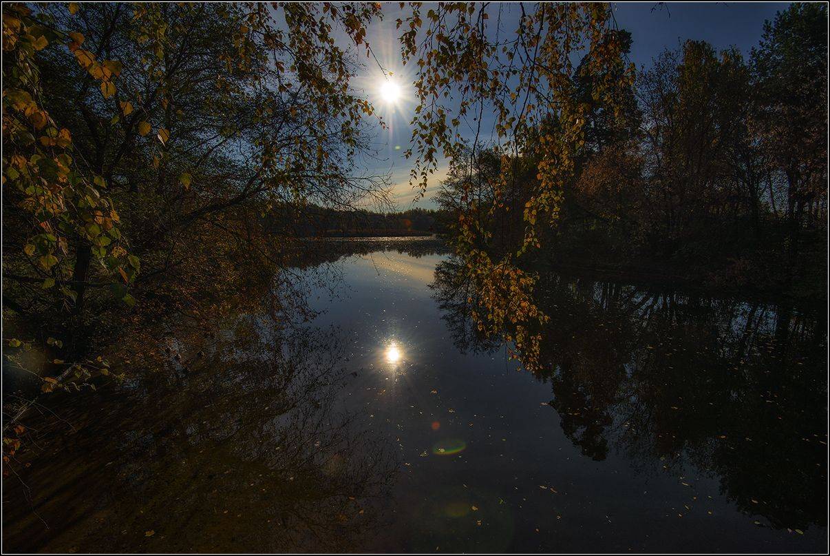 москва, осень, озеро, лес, солнце, отражение, АНАТОЛИЙ ДОВЫДЕНКО