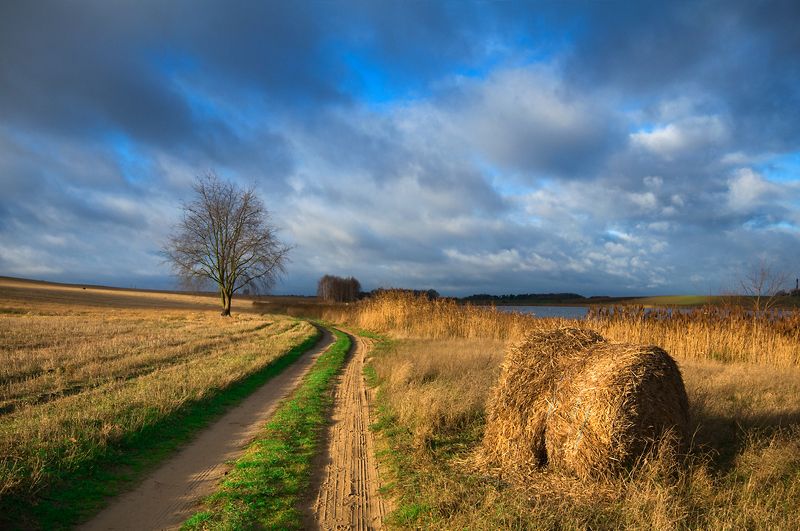 in the november sunshine... фото превью