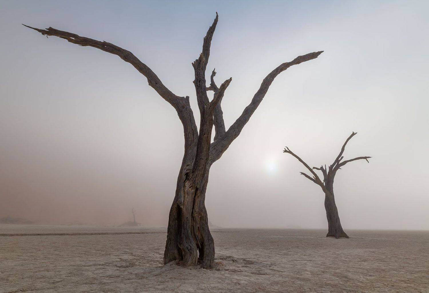 , Евгений Бушков