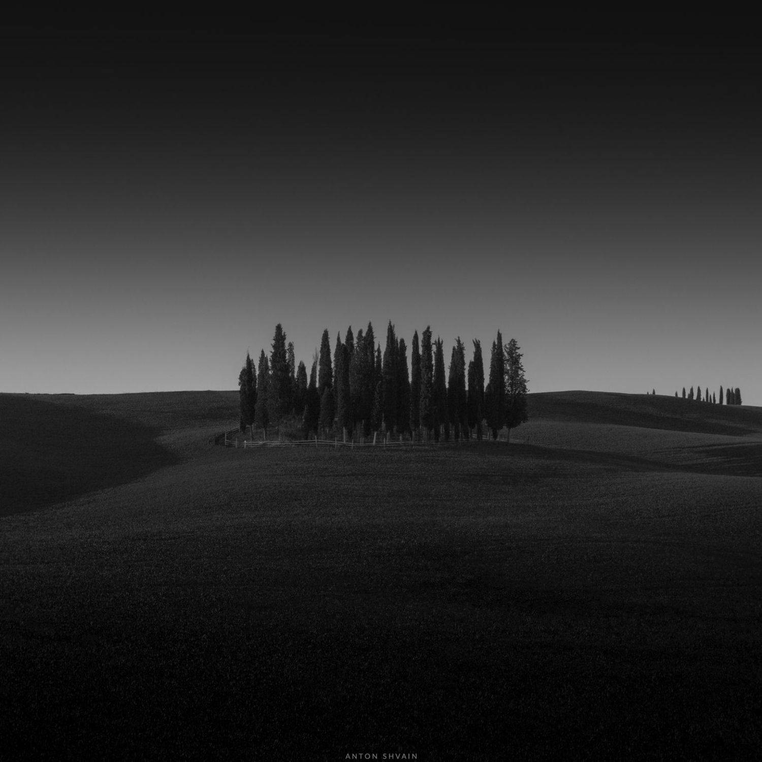 , Антон Шваин