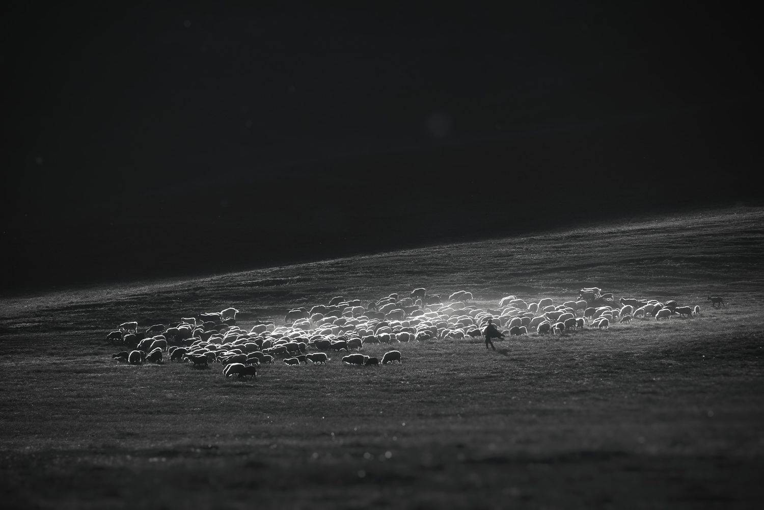 , Даниил Силантьев