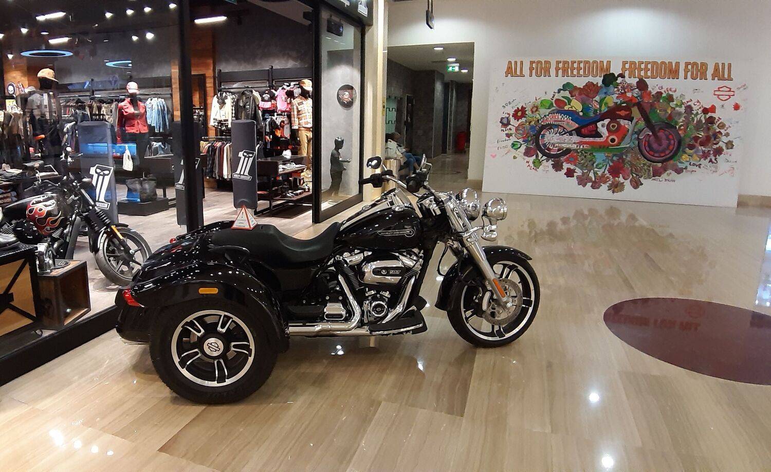 harley-davidson, Maria V. Gorskaya