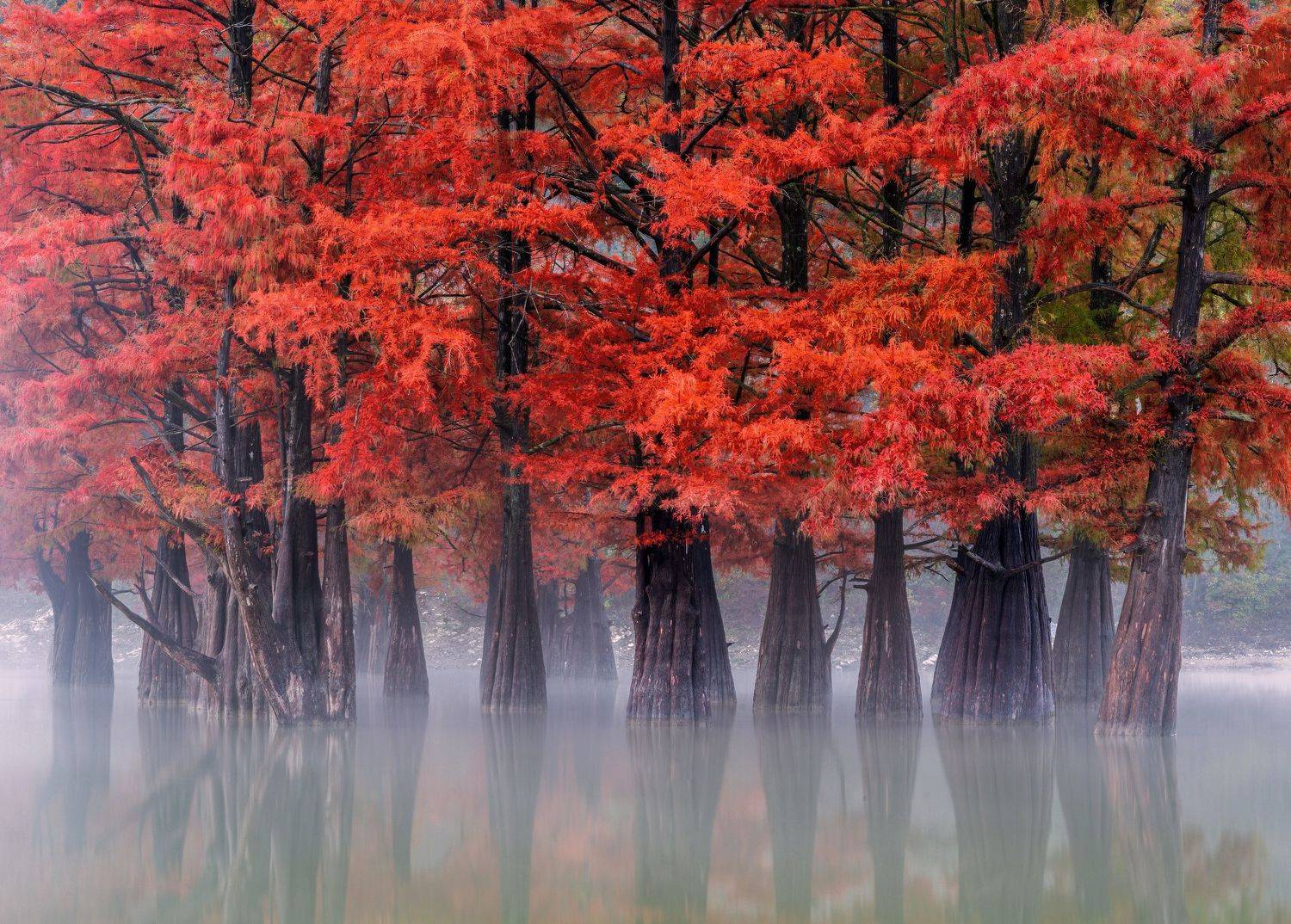 , Валерий Одинцов