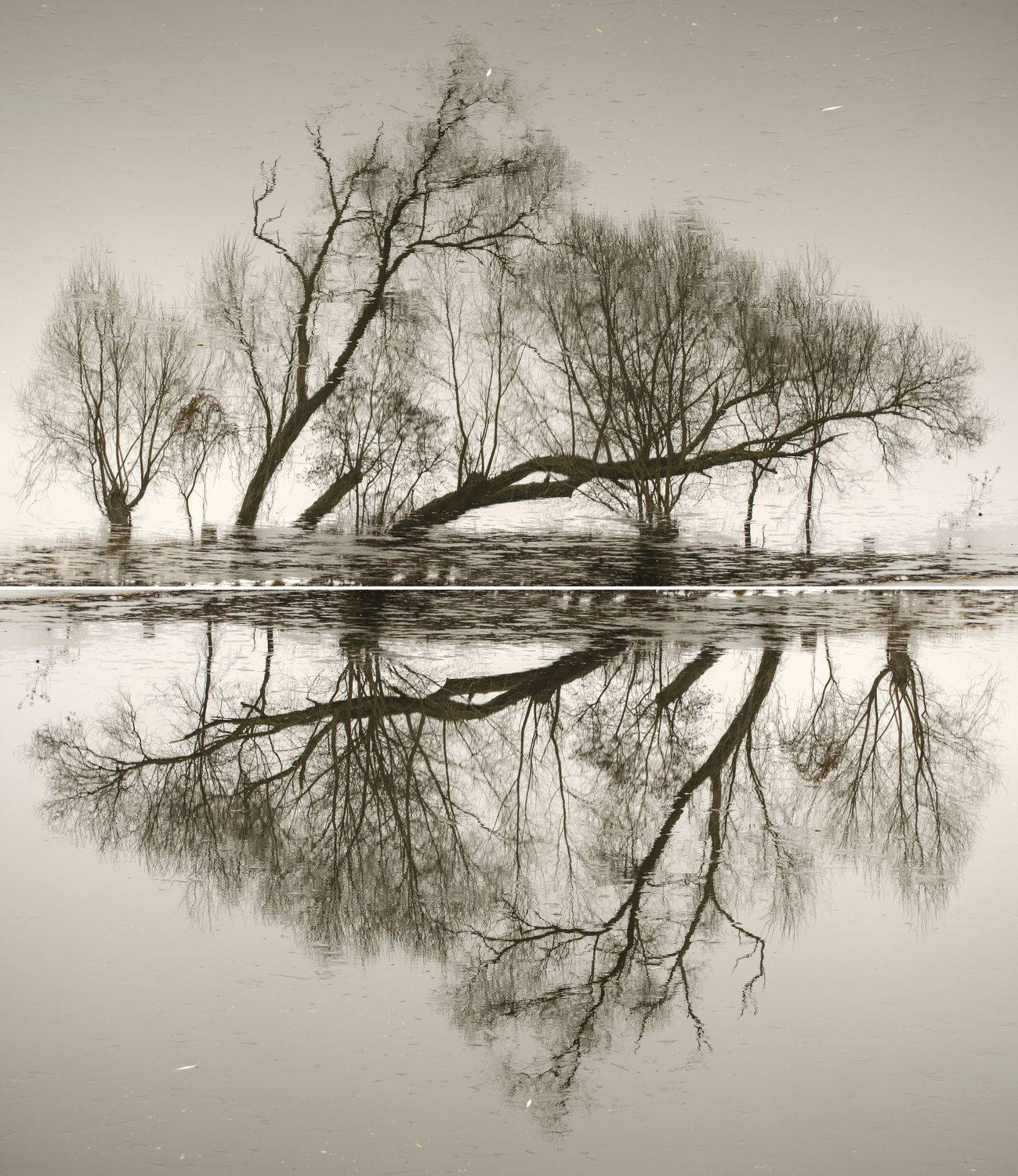 пейзаж, озеро, вода, отражение, дымка, природа, абстракция, силуэт, Евгений Каримов