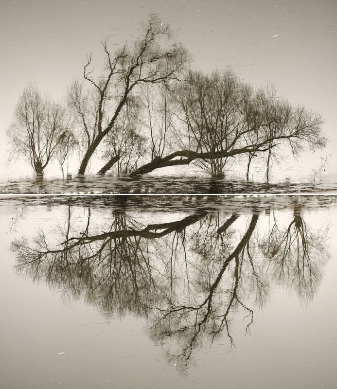 пейзаж, озеро, вода, отражение, дымка, природа, абстракция, силуэт Фантасмагория фото превью