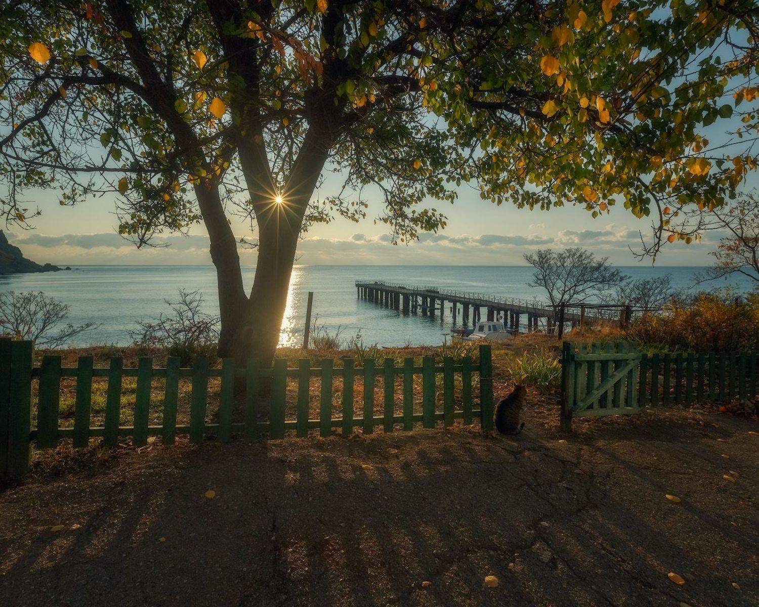 крым, море, рассвет., Владимир Дубинин