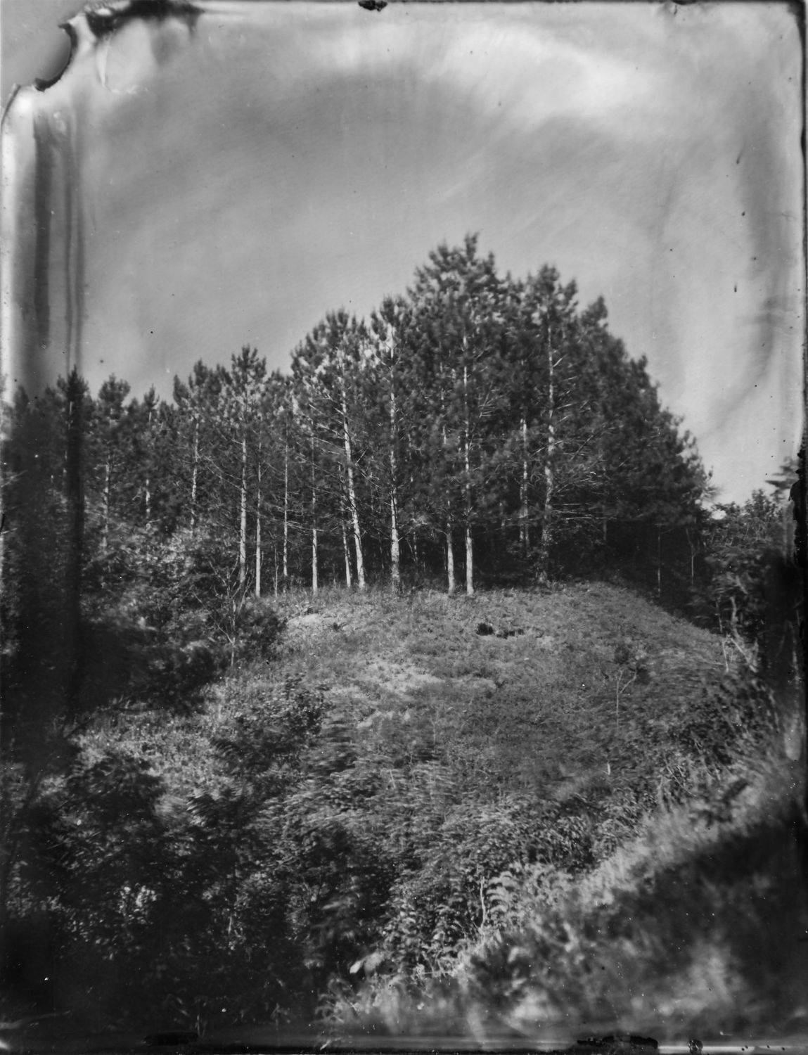 амбротип,  плёнка, средний формат, пейзаж, большой формат., Сергей Кондрюк