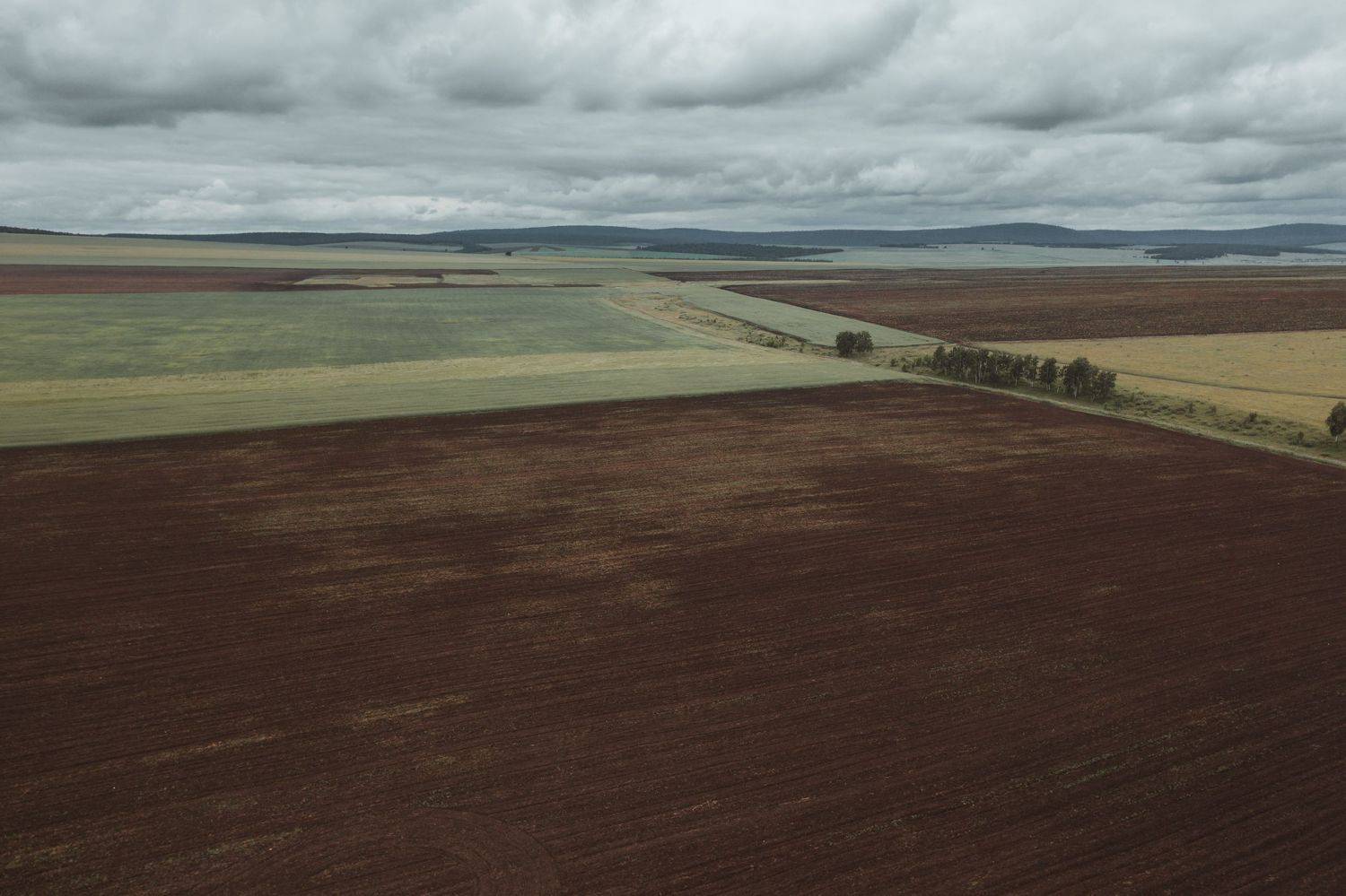 поля, иркутская область, dji, Александр Марфин