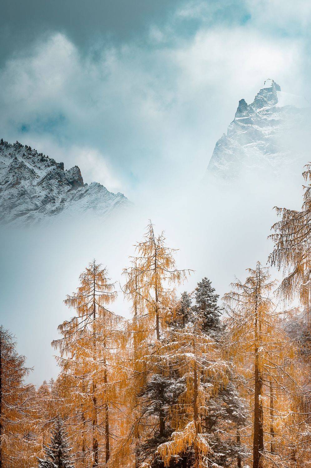 云雾，松林，雪山，阴天，深秋，, Jim Chen