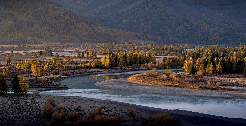 алтай, река, осень, утро, джазатор, river, autumn, morning, нд, фототур на алтай, золотой алтай нд, золотой алтай Однажды осенним утром... фото превью