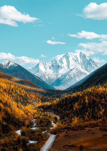 秋林雪山