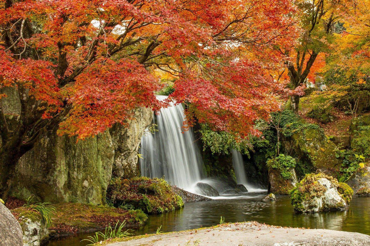 waterfall,nature,autumn,tree,, nino nino