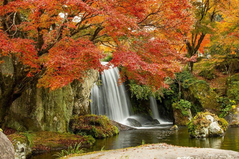 waterfall,nature,autumn,tree, Waterfall фото превью