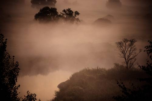 Рассвет одного утра