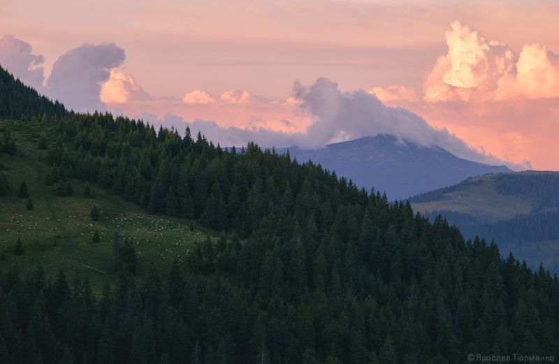 *** фото превью