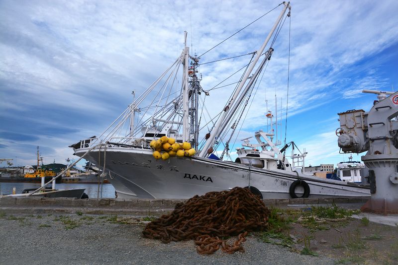 В порту фото превью