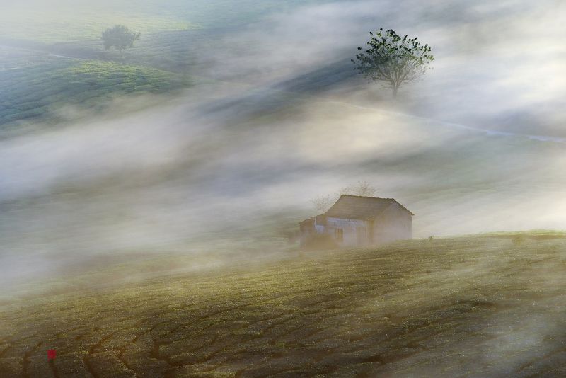 Foggy season фото превью