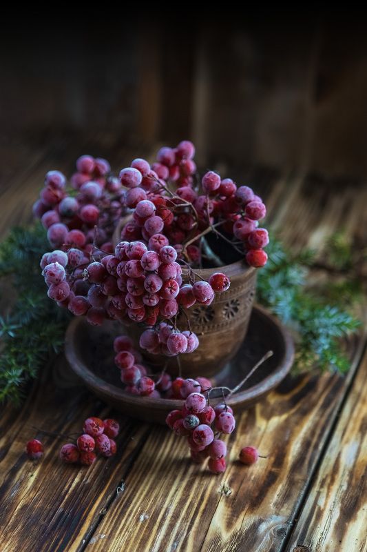 рябина, натюрморт, студия, осень Зима на носу фото превью
