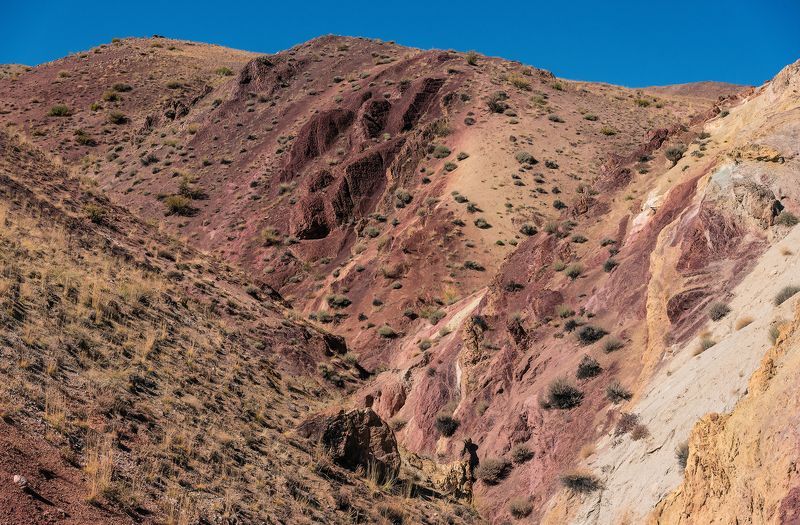 марс, марс 1, марсианские горы, алтай, республика алтай, чаганузун, кызылчин, река, чуйская степь, осень Pro Марсианские горы Алтая (2) фото превью