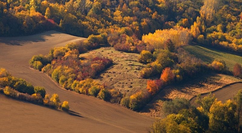 Autumn фото превью