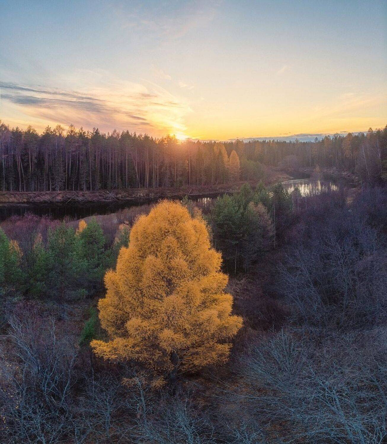 , Устюжанин Михаил