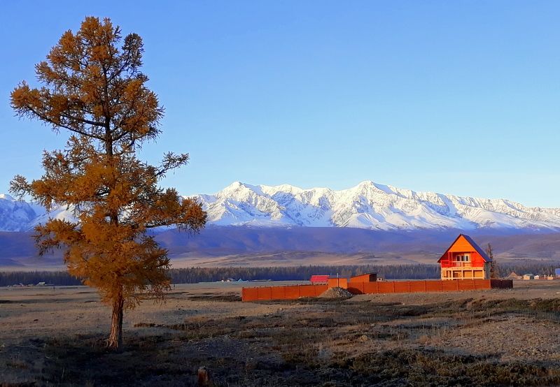 Оранжевый домик фото превью