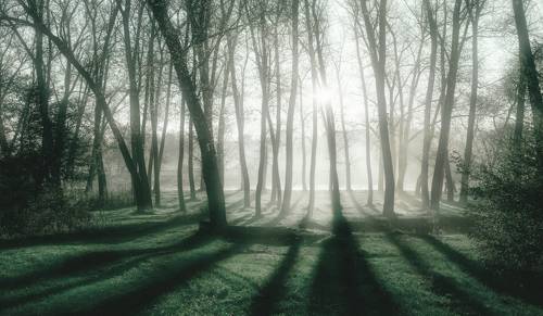 И я спешу туда, там льется добрый свет...