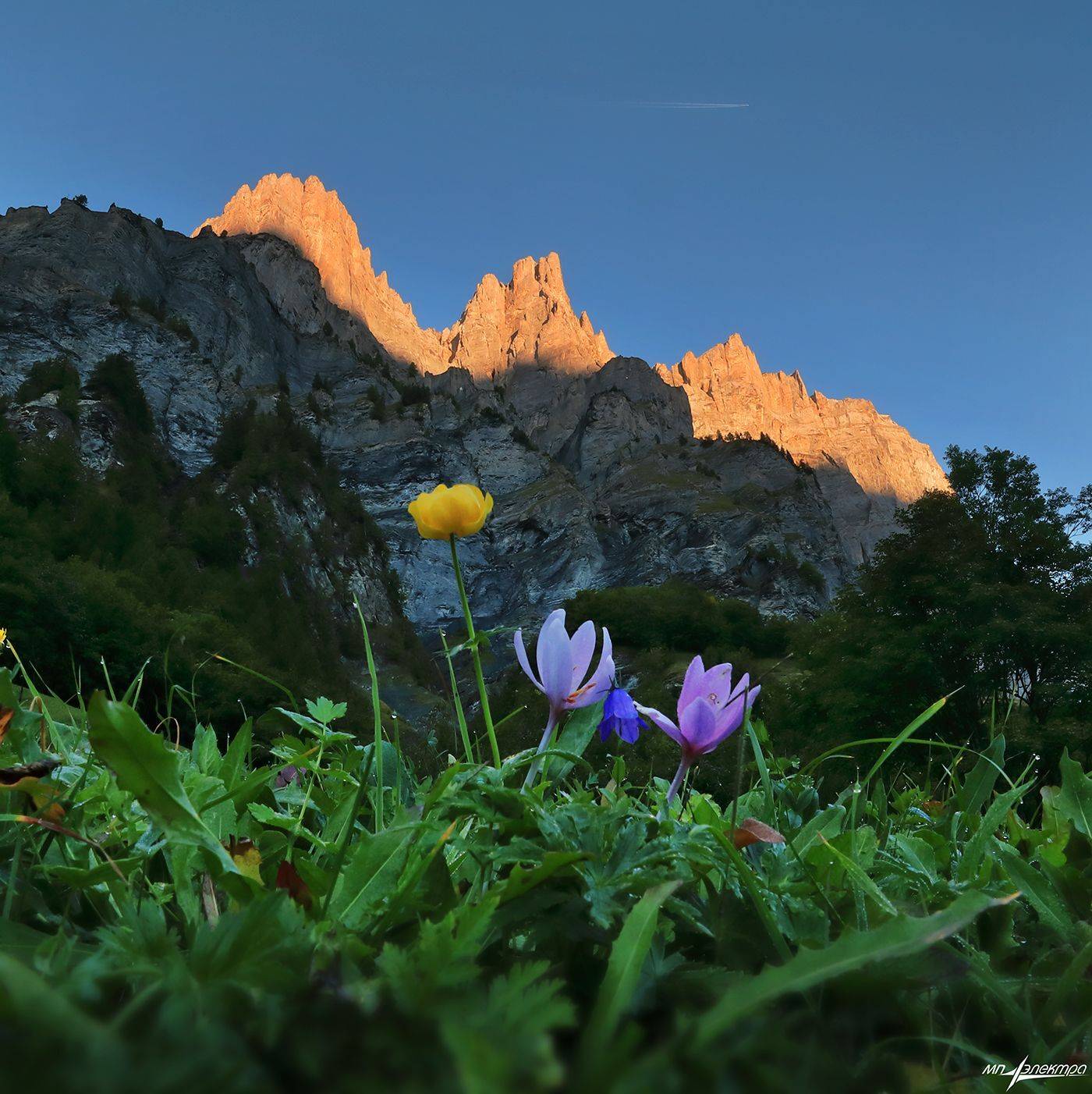 swiss, Матвеев Николай