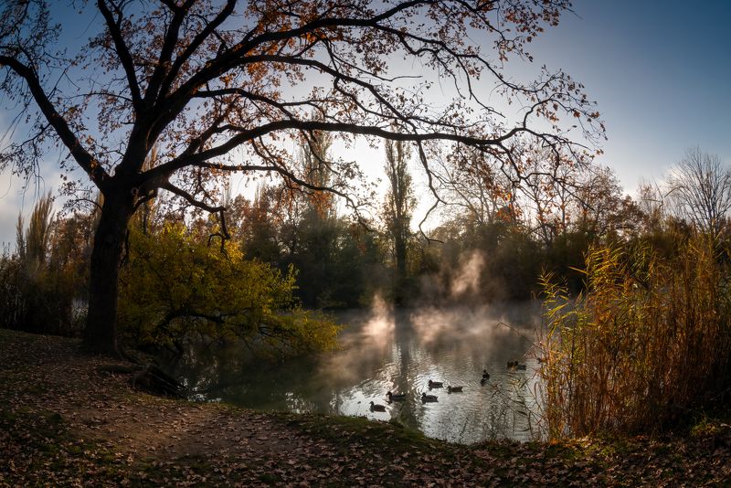 осень Рыжая осень фото превью